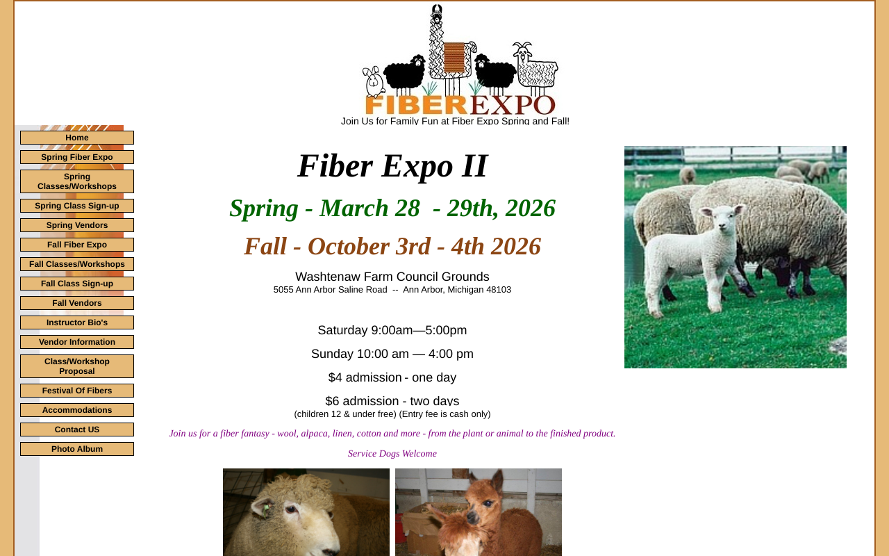 Screenshot of Fiber Expo II (Spring)